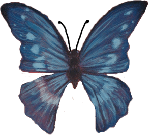 blue butterfly png
