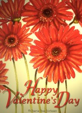Valentine Gerberas by Cherie Roe Dirksen