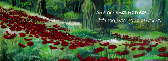 Poppy Field Facebook Timeline