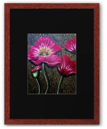 red poppy print framed