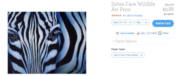 Zebra Poster