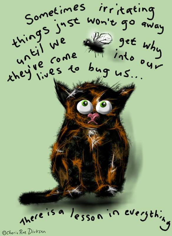 Lifes Irritations Quote