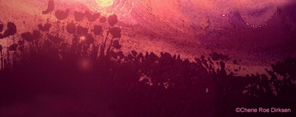 Nature Banner by Cherie Roe Dirksen