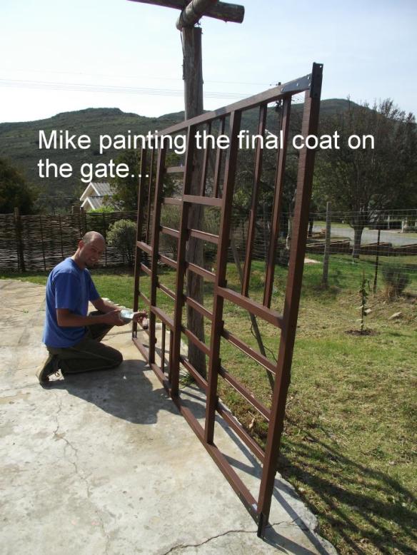 Mike and gate
