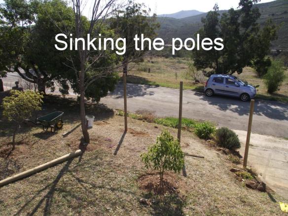 Sinking the poles